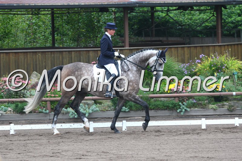 009M8993_Lesprit_Dressurpf L.JPG